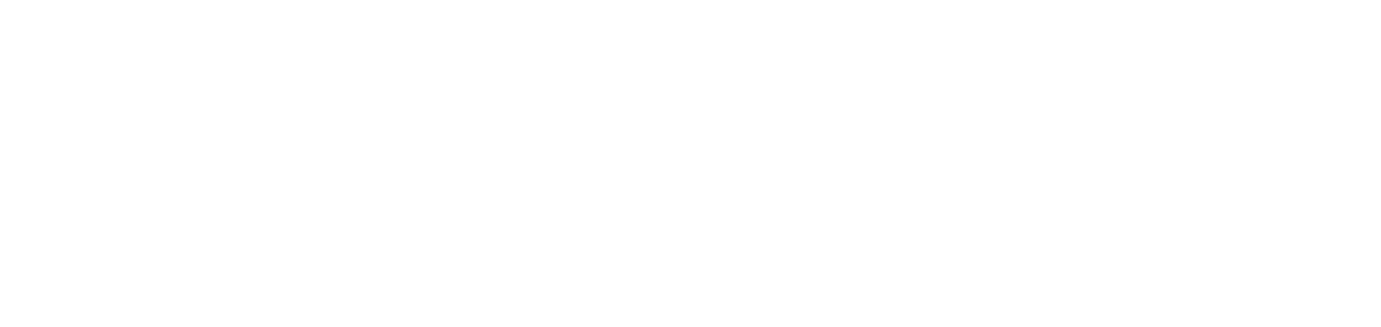 PLAIUM 메인 로고