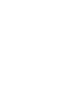 PROJECT P 로고
